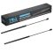 Hood Lift Support Set