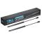 Hood Lift Support Set