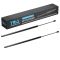 Liftgate Lift Support Set