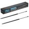 Liftgate Lift Support Set