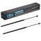 Liftgate Lift Support Set