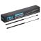 Liftgate Lift Support Set