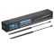 Liftgate Lift Support Set