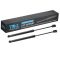 Hood Lift Support Set