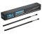 Hood Lift Support Set