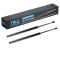 Liftgate Lift Support Set