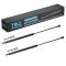 Hood Lift Support Set