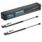 Hood Lift Support Set