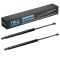 Liftgate Lift Support Set