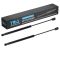 Hood Lift Support Set