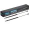 Hood Lift Support Set