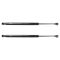 Trunk Lid Lift Support Set