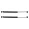 Trunk Lid Lift Support Set