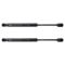 Trunk Lid Lift Support Set