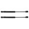 Trunk Lid Lift Support Set