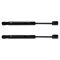 Trunk Lid Lift Support Set