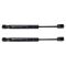 Trunk Lid Lift Support Set