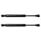 Trunk Lid Lift Support Set