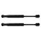 Trunk Lid Lift Support Set