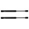 Trunk Lid Lift Support Set