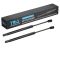 Hood Lift Support Set