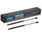 Hood Lift Support Set