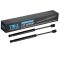 Hood Lift Support Set