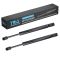 Hood Lift Support Set
