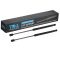 Hood Lift Support Set