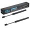 Hood Lift Support Set