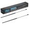 Hood Lift Support Set
