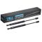 Hood Lift Support Set