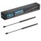Hood Lift Support Set