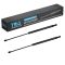 Hood Lift Support Set