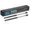 Hood Lift Support Set