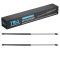 Hood Lift Support Set