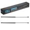 Hood Lift Support Set