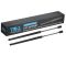 Liftgate Lift Support Set