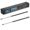 Liftgate Lift Support Set