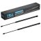 Liftgate Lift Support Set