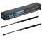 Liftgate Lift Support Set