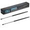 Liftgate Lift Support Set