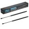 Liftgate Lift Support Set