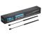 Liftgate Lift Support Set