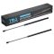 Liftgate Lift Support Set