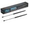 Liftgate Lift Support Set