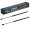 Liftgate Lift Support Set