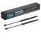 Liftgate Lift Support Set