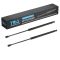 Liftgate Lift Support Set