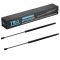Liftgate Lift Support Set